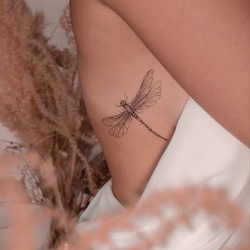 стрекоза (4)