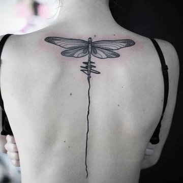 стрекоза (8)